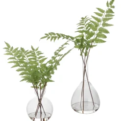 Ferns in Vases, Set of Two