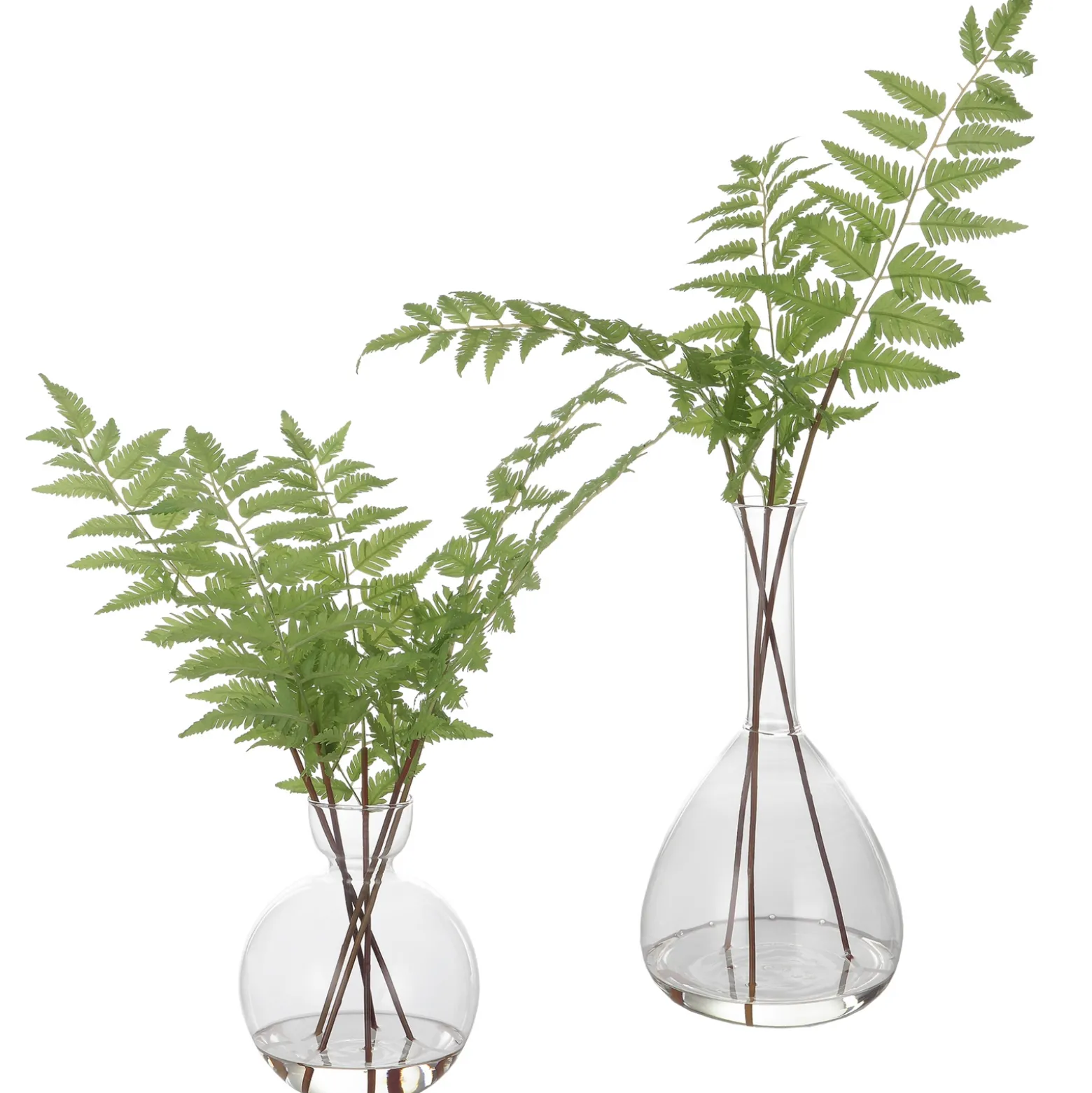 Ferns in Vases, Set of Two