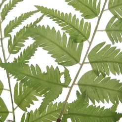 Ferns in Vases, Set of Two