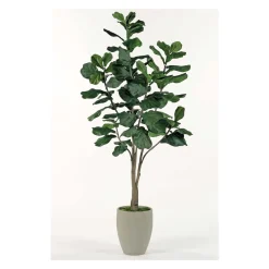 Fig Tree Floor Plant - 8 Ft.