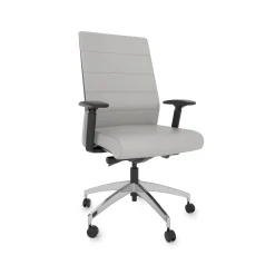 Freeride Executive Faux Leather Chair with Lumbar Support