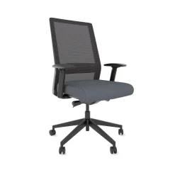 Freeride Mesh Task Chair with Adjustable Lumbar Support