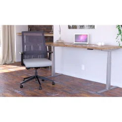 Freeride Mesh Task Chair with Adjustable Lumbar Support