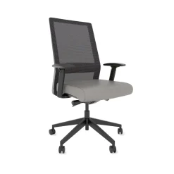 Freeride Mesh Task Chair with Adjustable Lumbar Support