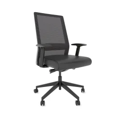 Freeride Mesh Task Chair with Adjustable Lumbar Support