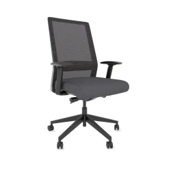 Freeride Mesh Task Chair with Adjustable Lumbar Support