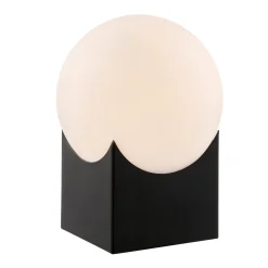 Frost/Smoke Glass Table Lamp Orb - 11
