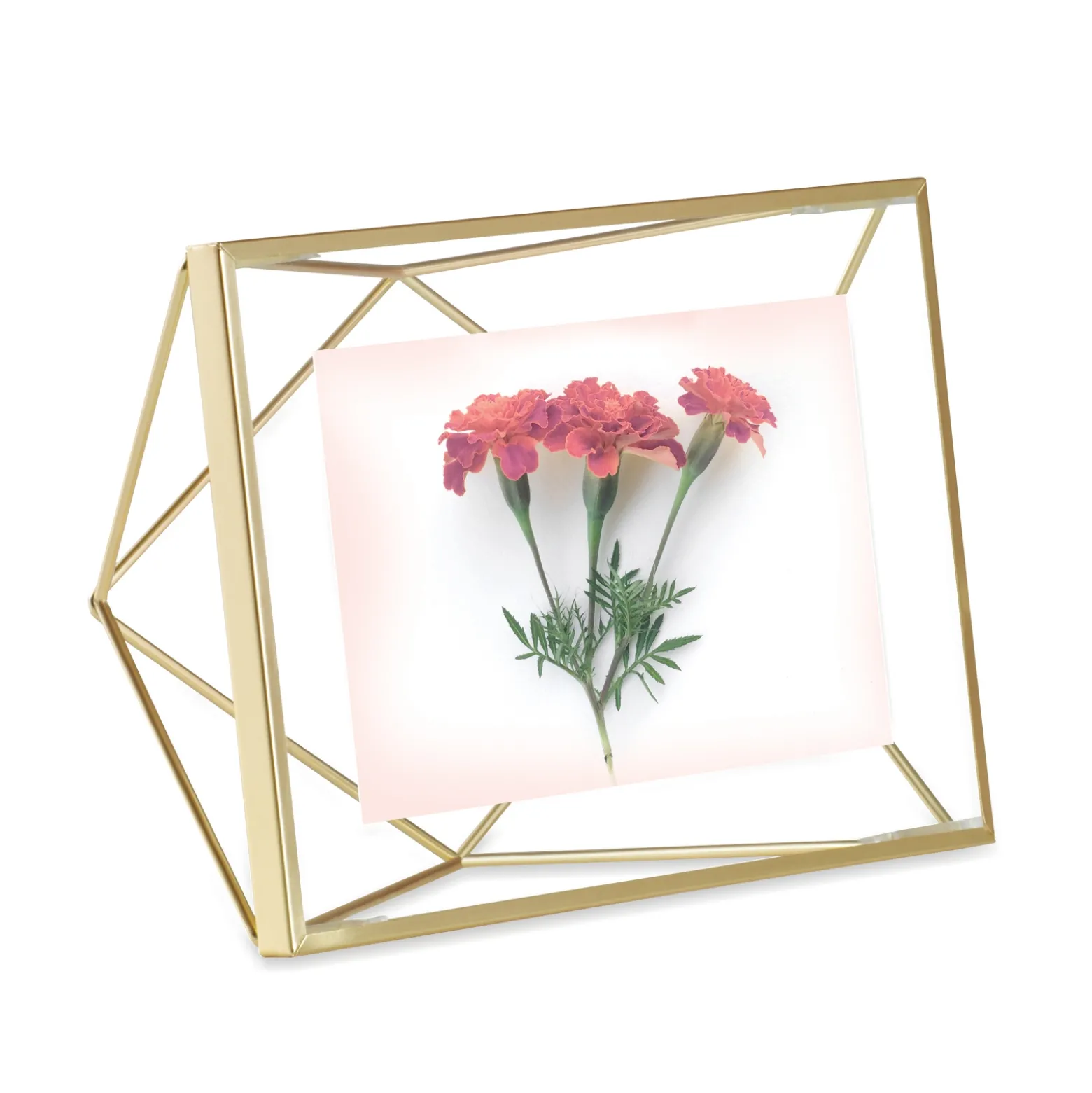 Geometric Picture Frame