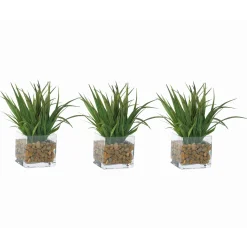 Grass Plants in Glass Pots with Faux Water