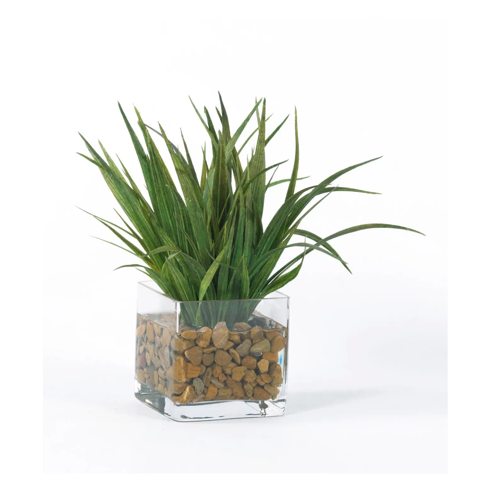 Grass Plants in Glass Pots with Faux Water