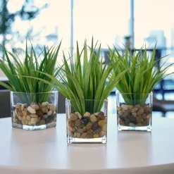 Grass Plants in Glass Pots with Faux Water