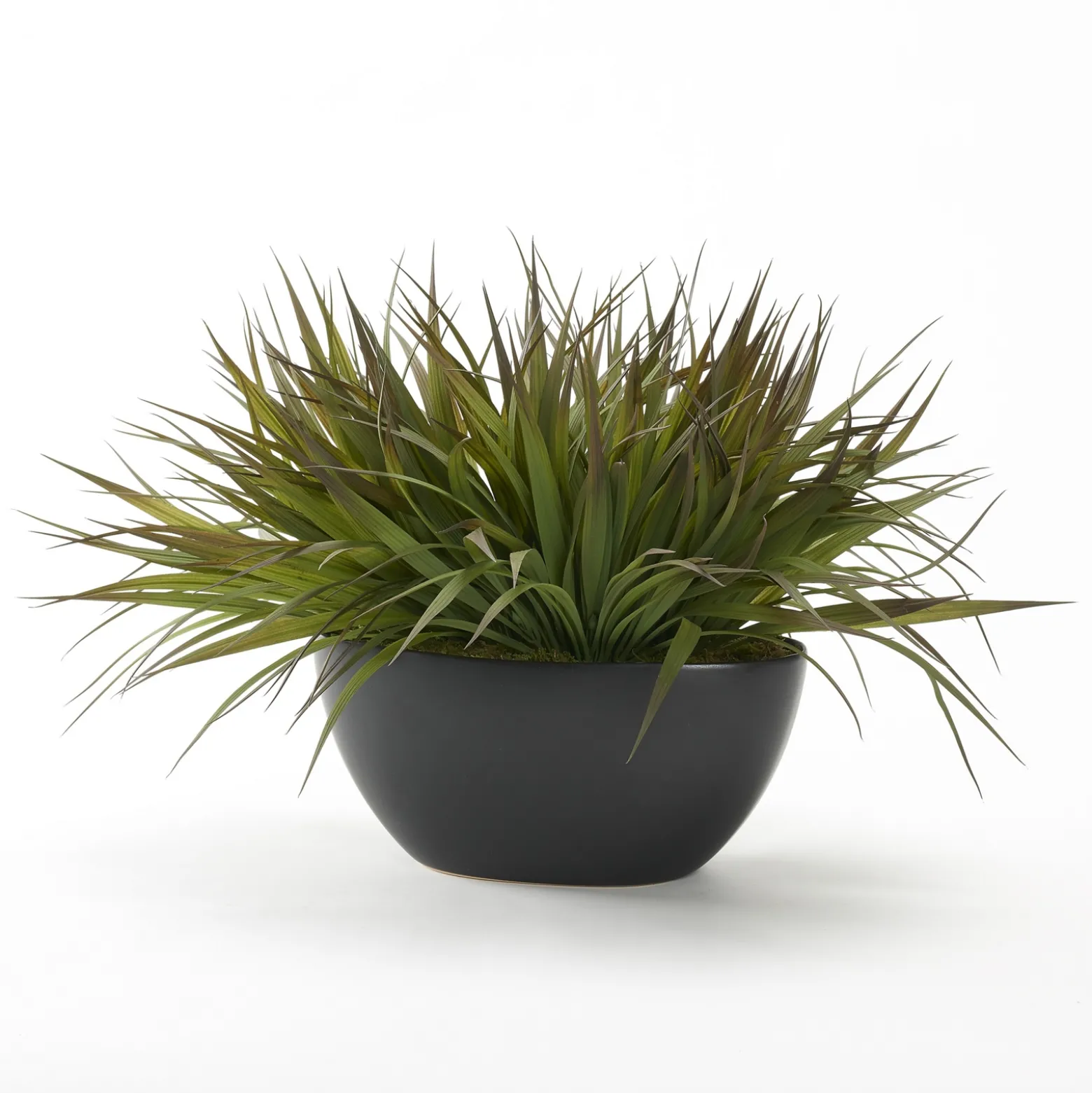 Green and Brown Grass in Black Metta Boat