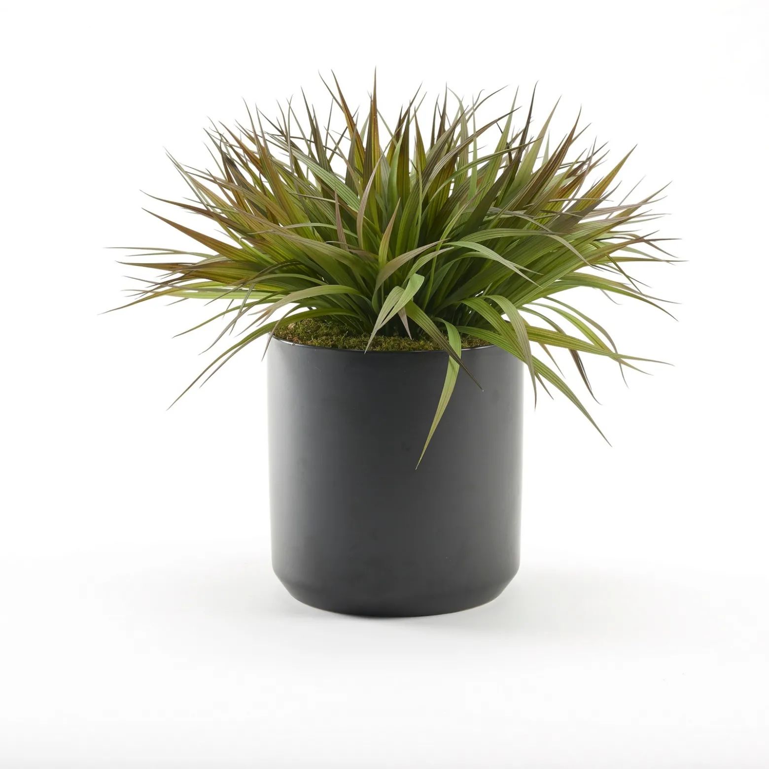 Green/Brown Plastic Grass in Black Matte Kendall Pot