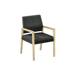 Hampton Guest Chair in Standard Upholstery