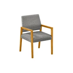 Hampton Guest Chair in Standard Upholstery