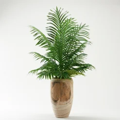 Hawaiian Palm Fronds in Wooden Vase