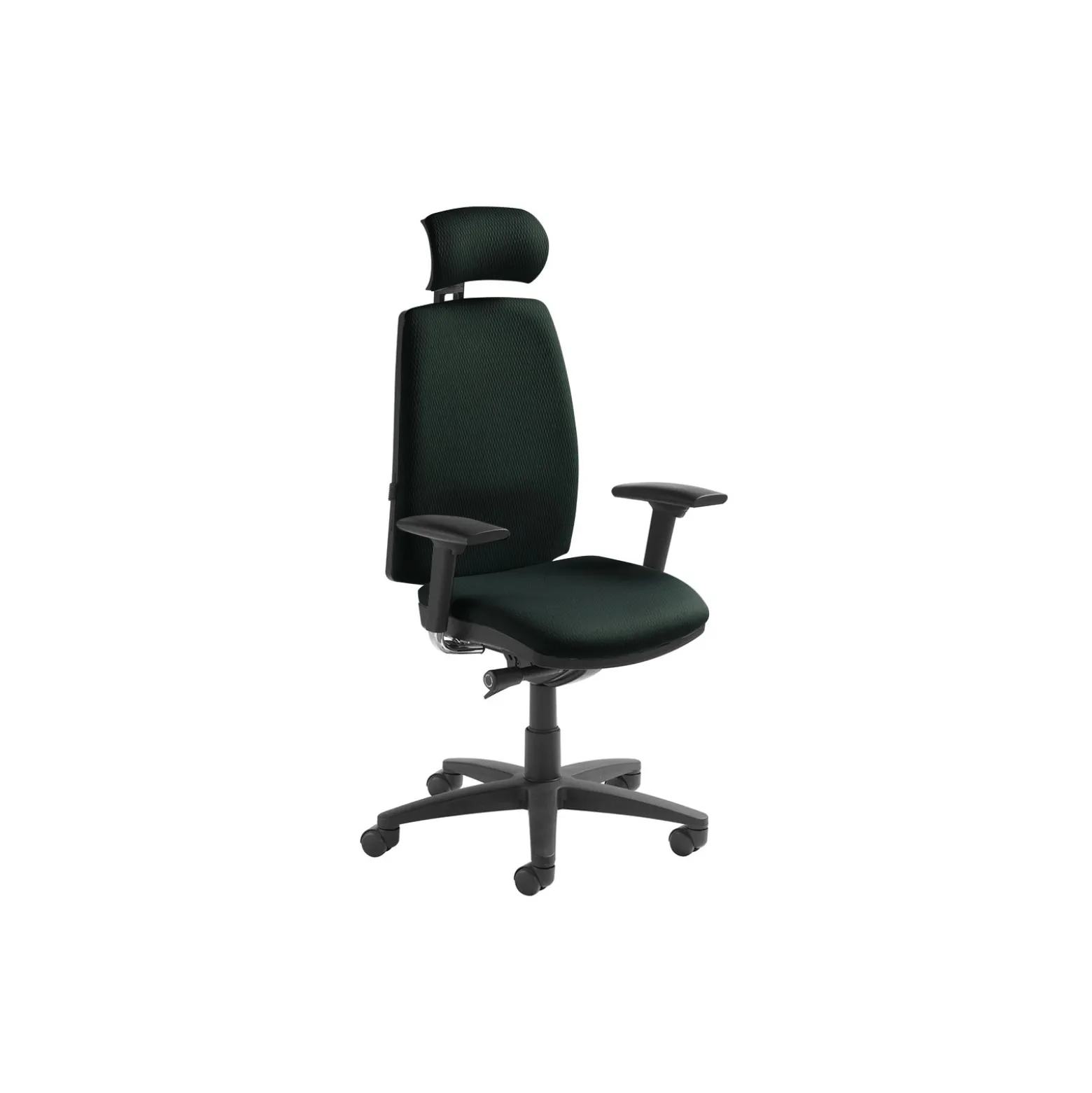 High Back Ergonomic Executive Chair with Headrest