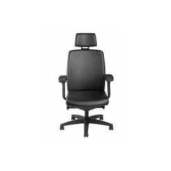 High Back Leather Chair with Headrest