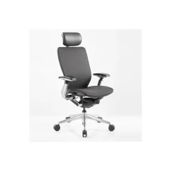 High Back Mesh Ergonomic Executive Chair
