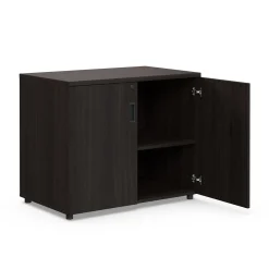 Holloway 2-Door Storage Cabinet – 35”Wx22”D