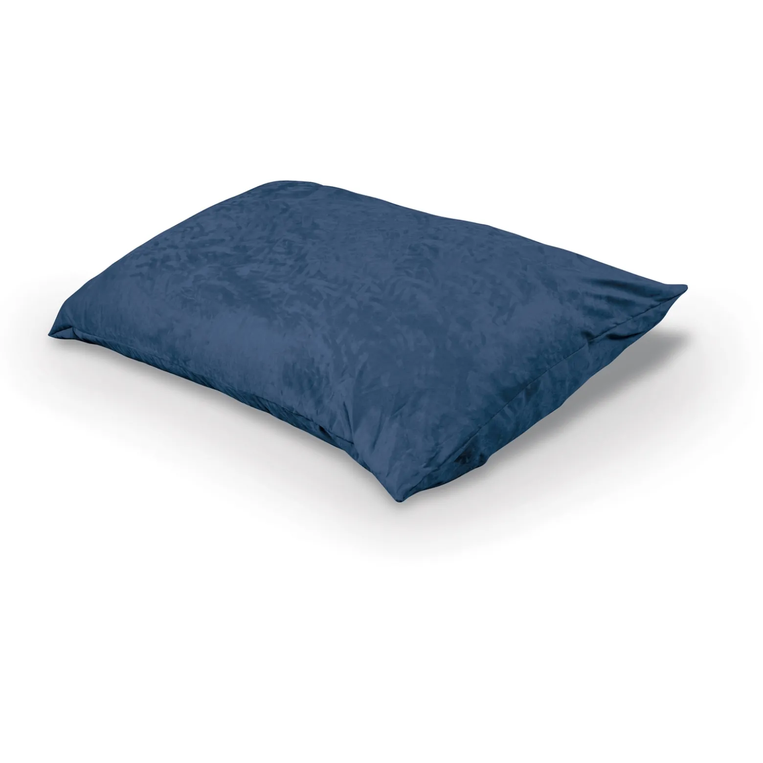 Indoor Pinto Pillow