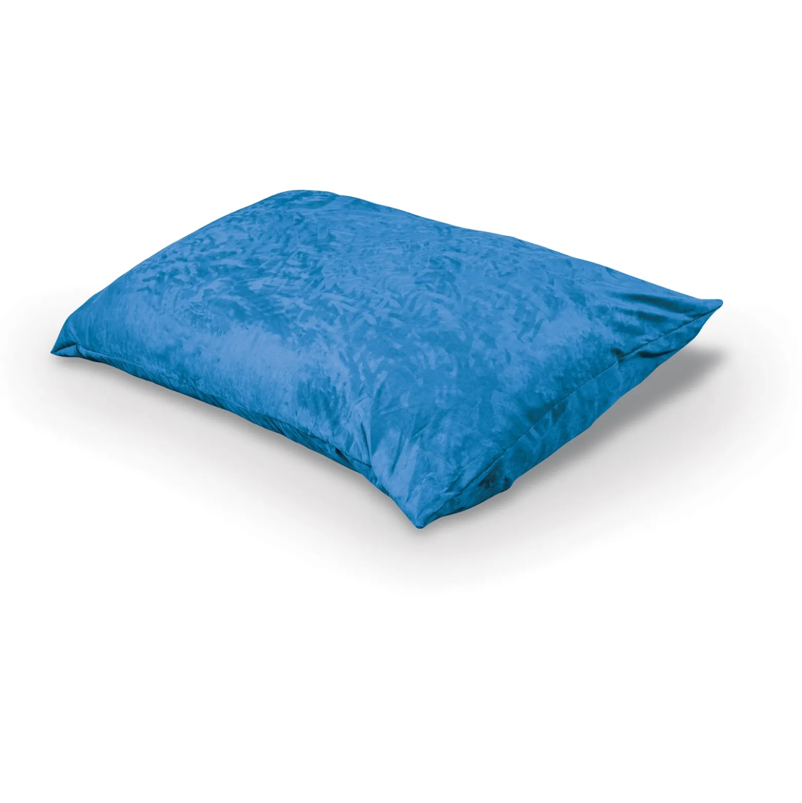 Indoor Pinto Pillow