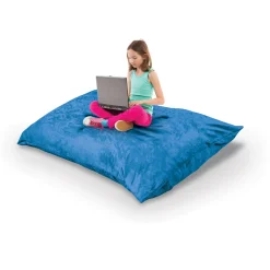 Indoor Pinto Pillow