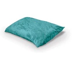 Indoor Pinto Pillow