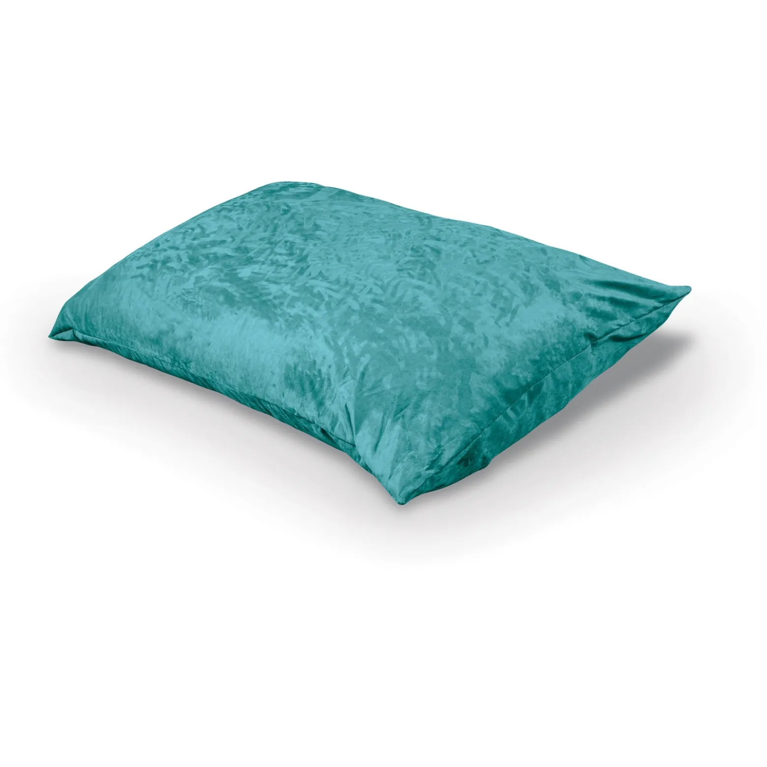 Indoor Pinto Pillow