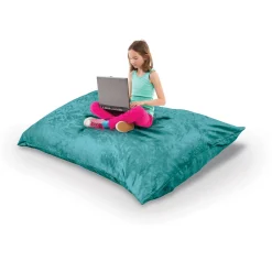Indoor Pinto Pillow