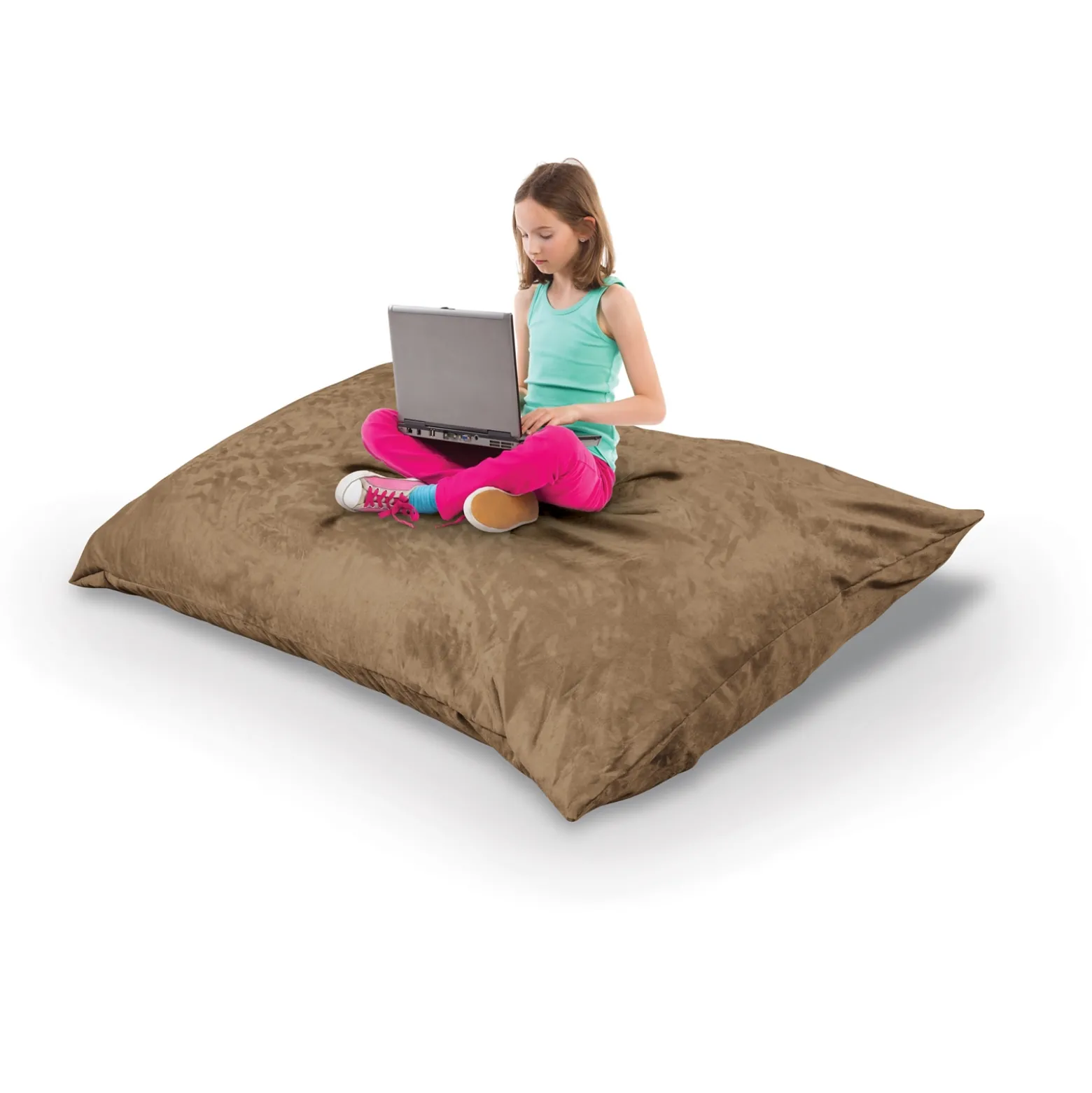 Indoor Pinto Pillow