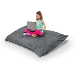Indoor Pinto Pillow