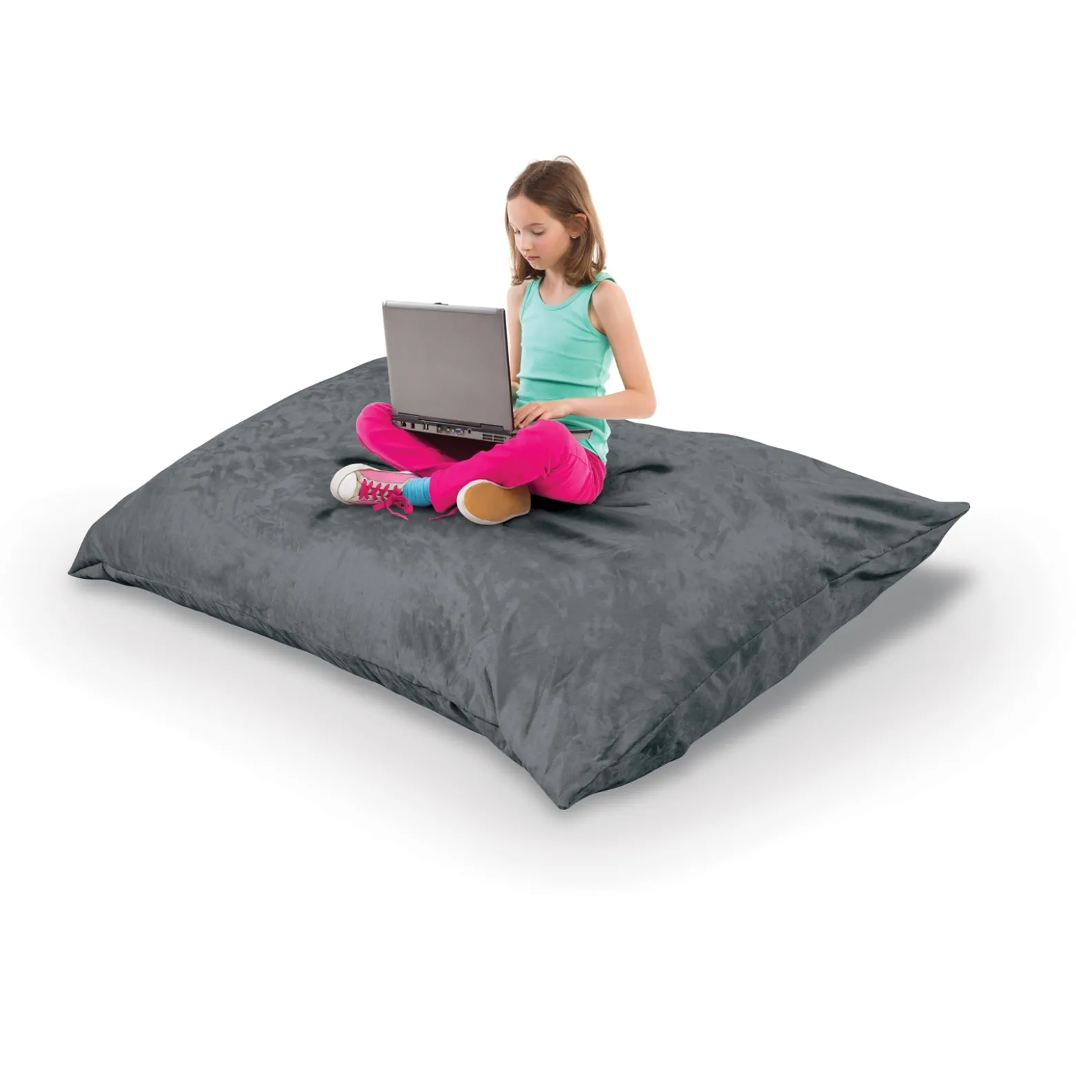 Indoor Pinto Pillow