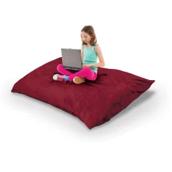 Indoor Pinto Pillow