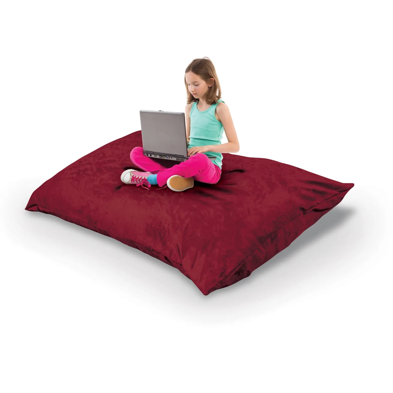 Indoor Pinto Pillow