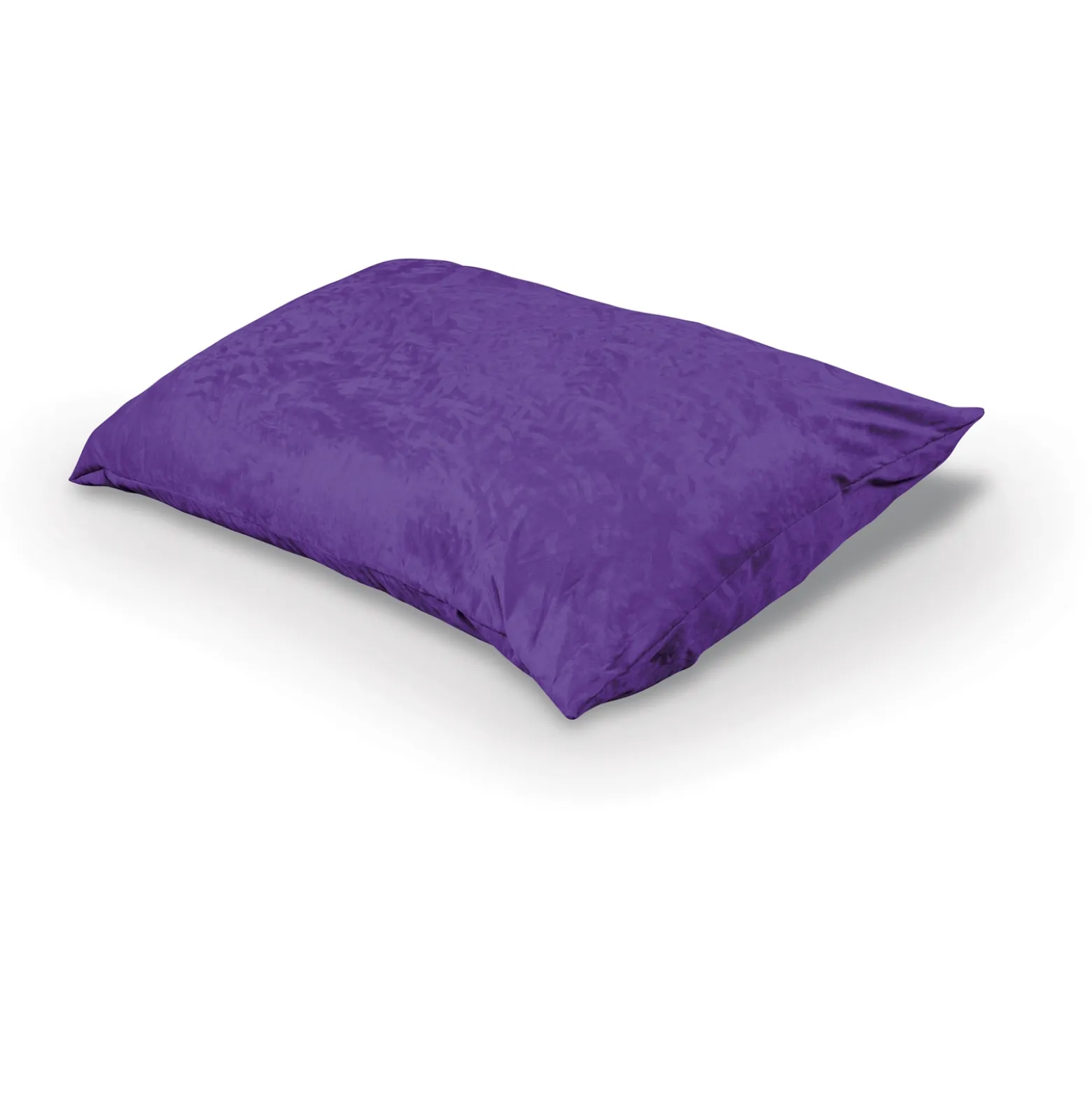 Indoor Pinto Pillow