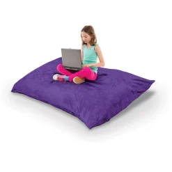 Indoor Pinto Pillow