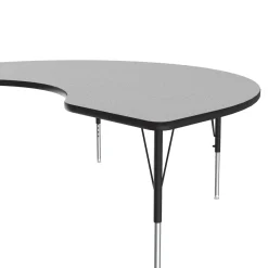 Kidney Shape Activity Table 48