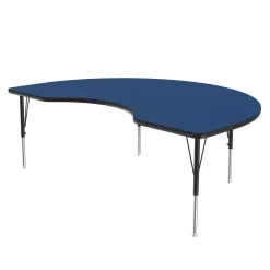 Kidney Shape Activity Table 48