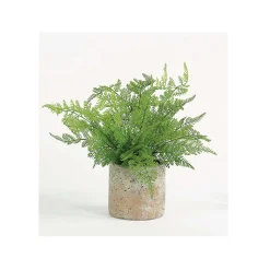 Lace Fern in Earthen Vase - 17"