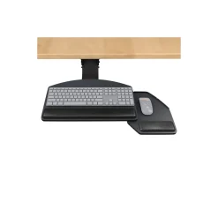 Lift and Lock Articulating Arm With Keyboard and Mouse Tray