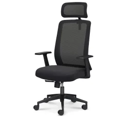 Link Mesh-Back Office Chair with Adjustable Headrest