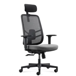 Lira Ergonomic Mesh Back Office Chair with Headrest