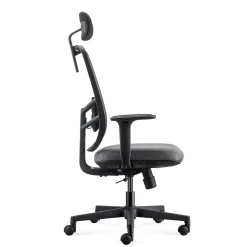 Lira Ergonomic Mesh Back Office Chair with Headrest