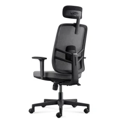 Lira Ergonomic Mesh Back Office Chair with Headrest