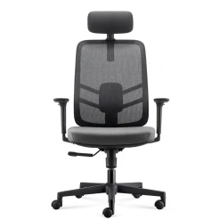 Lira Ergonomic Mesh Back Office Chair with Headrest