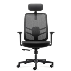 Lira Ergonomic Mesh Back Office Chair with Headrest
