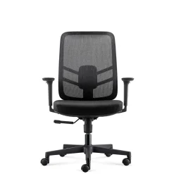 Lira Mesh-Back Ergonomic Office Chair