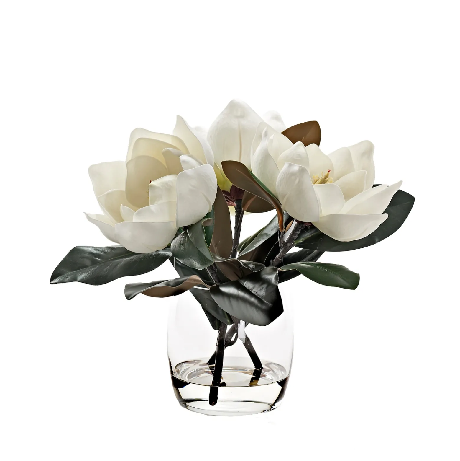 Magnolia Stems in Vase