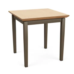 Mason Street Steel End Table - 20"Wx20"D